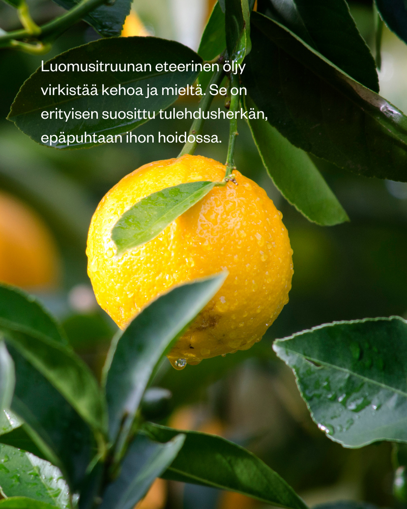 Flow Cosmetics Cocolemon Vartalokuorinta 50ml