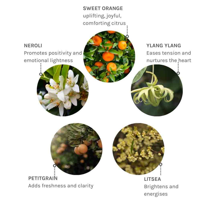 Evolve Organic Beauty Joyful Light Pulse Point Roll-On 10ml