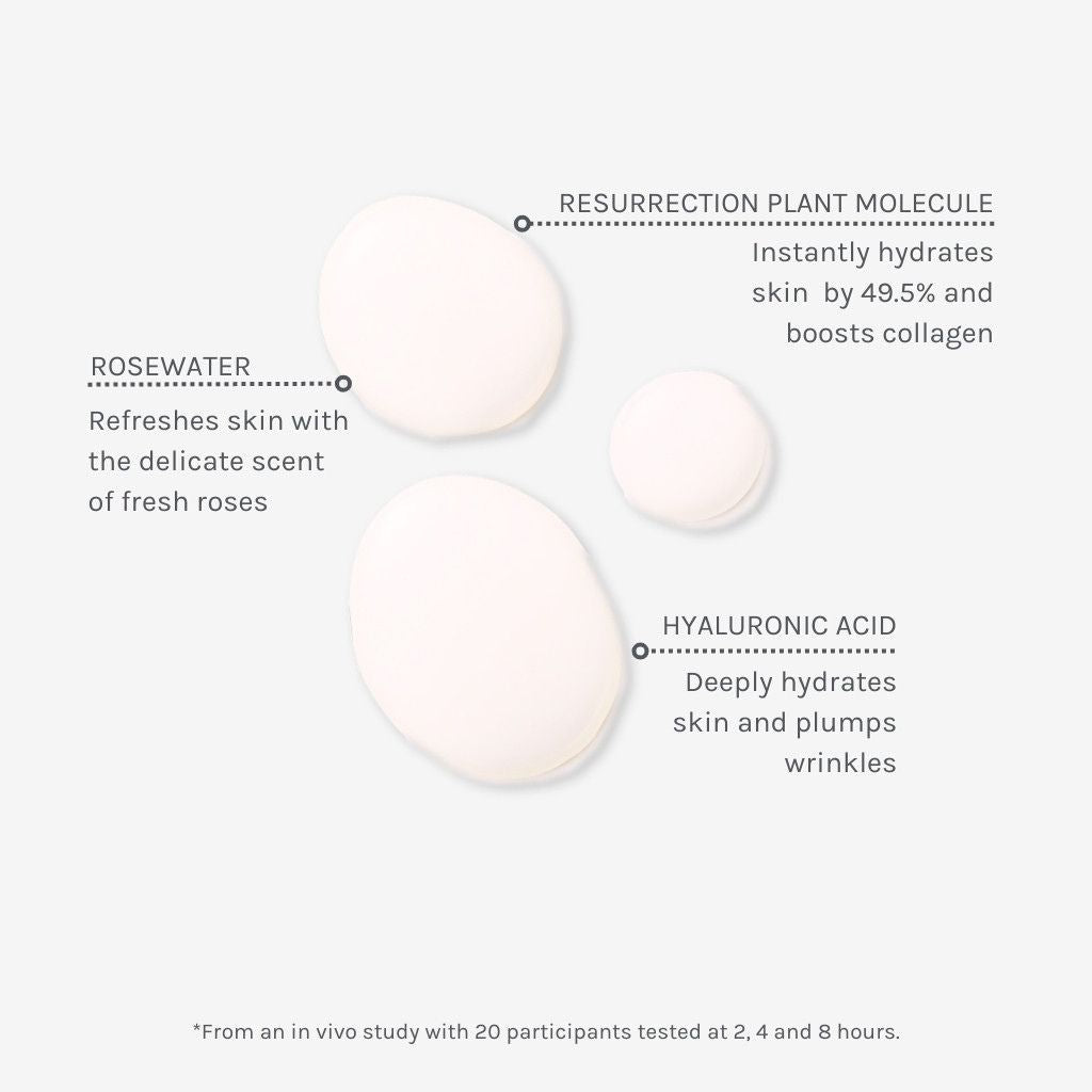 Evolve Organic Beauty Age Defying Mist Kosteuttava kasvosuihke 100ml