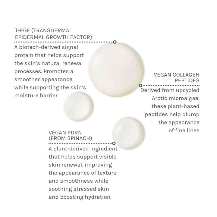 Evolve Organic Beauty EGF + Collagen Renewal Booster 15ml