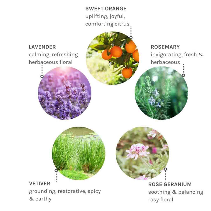 Evolve Organic Beauty Pure Tranquility Hand & Body Wash 250ml