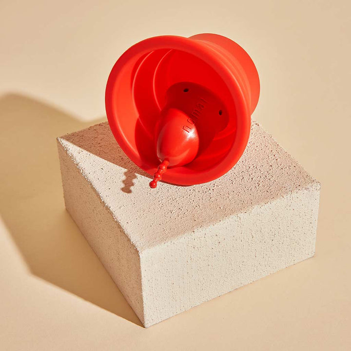 Nomai Desinfiointiastia