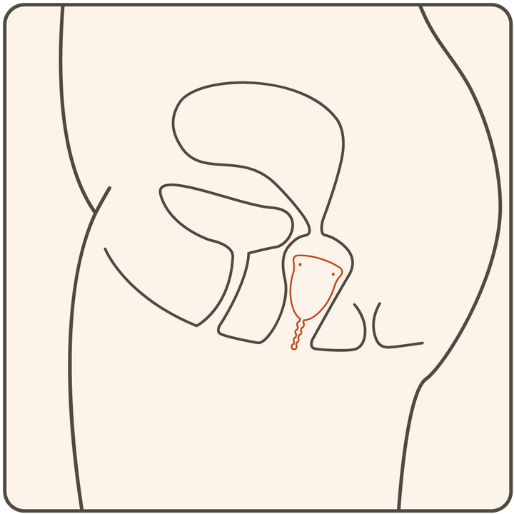 Nomai Kuukuppi Kirkas - Light