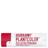 HURRAW! Plantcolor Sävyttävä huulivoide 4,8g