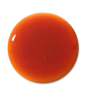 Antipodes Worship Antioxidant Seerumi 30ml