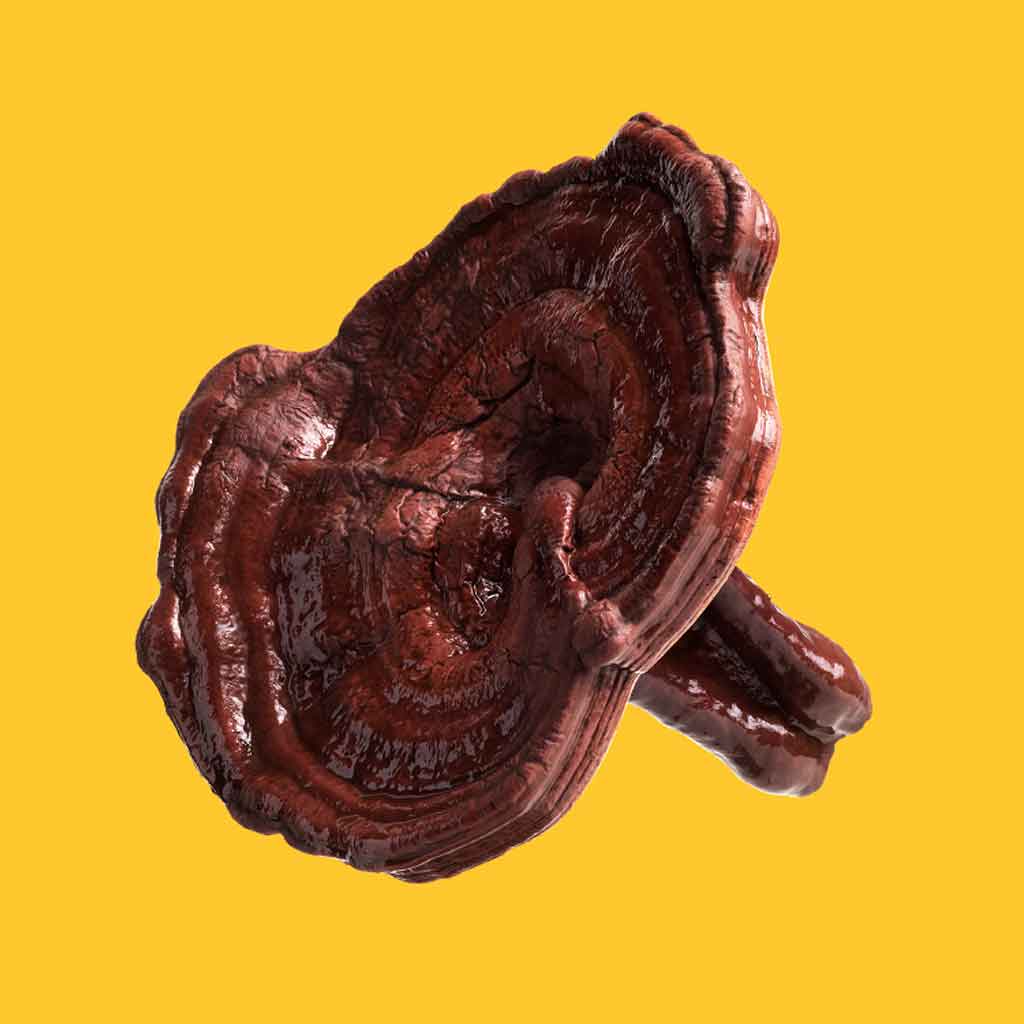 Djusie Acid Bloom Balancing Essence Hoitoneste 100 ml