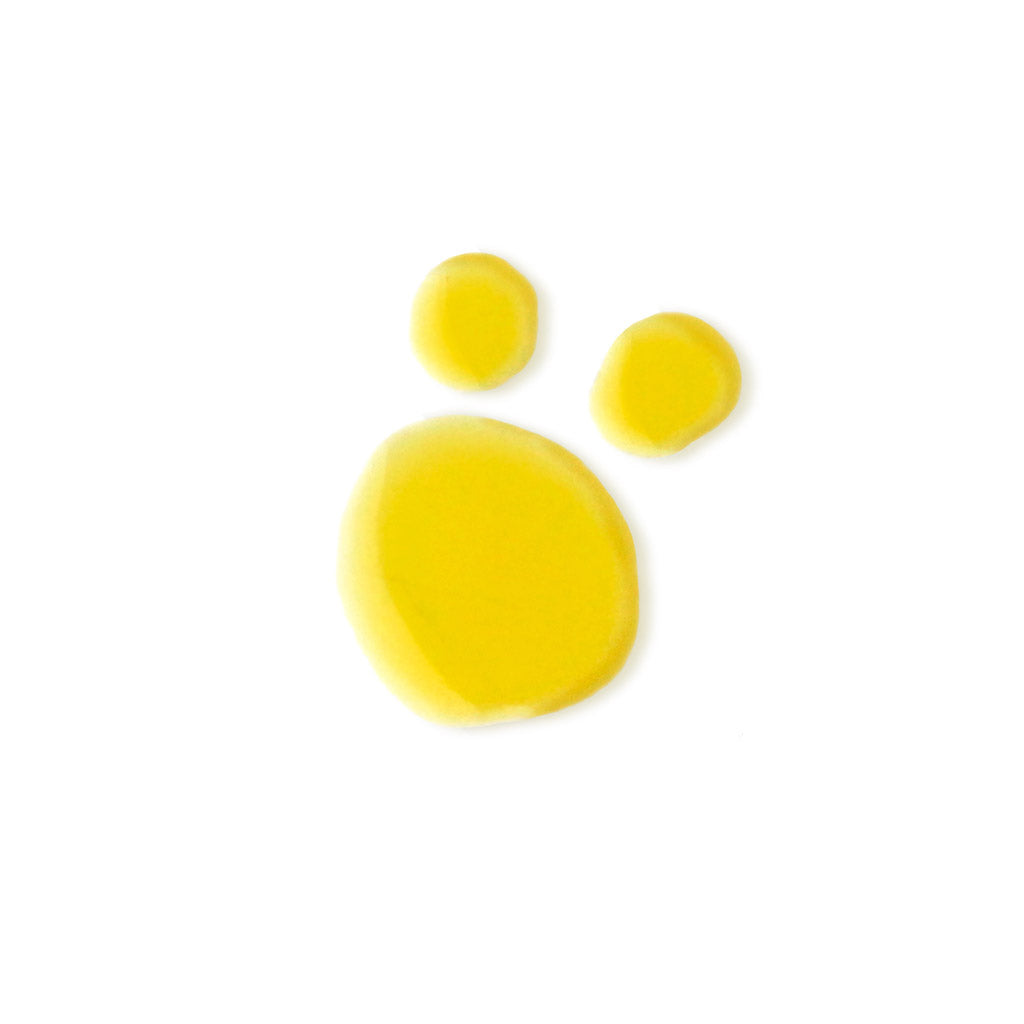 Evolve Organic Beauty Bio-Retinol + C Booster 1ml Näyte