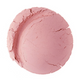 Tea Rose